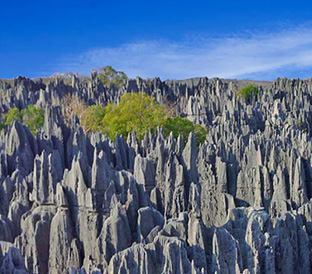 tsingy11